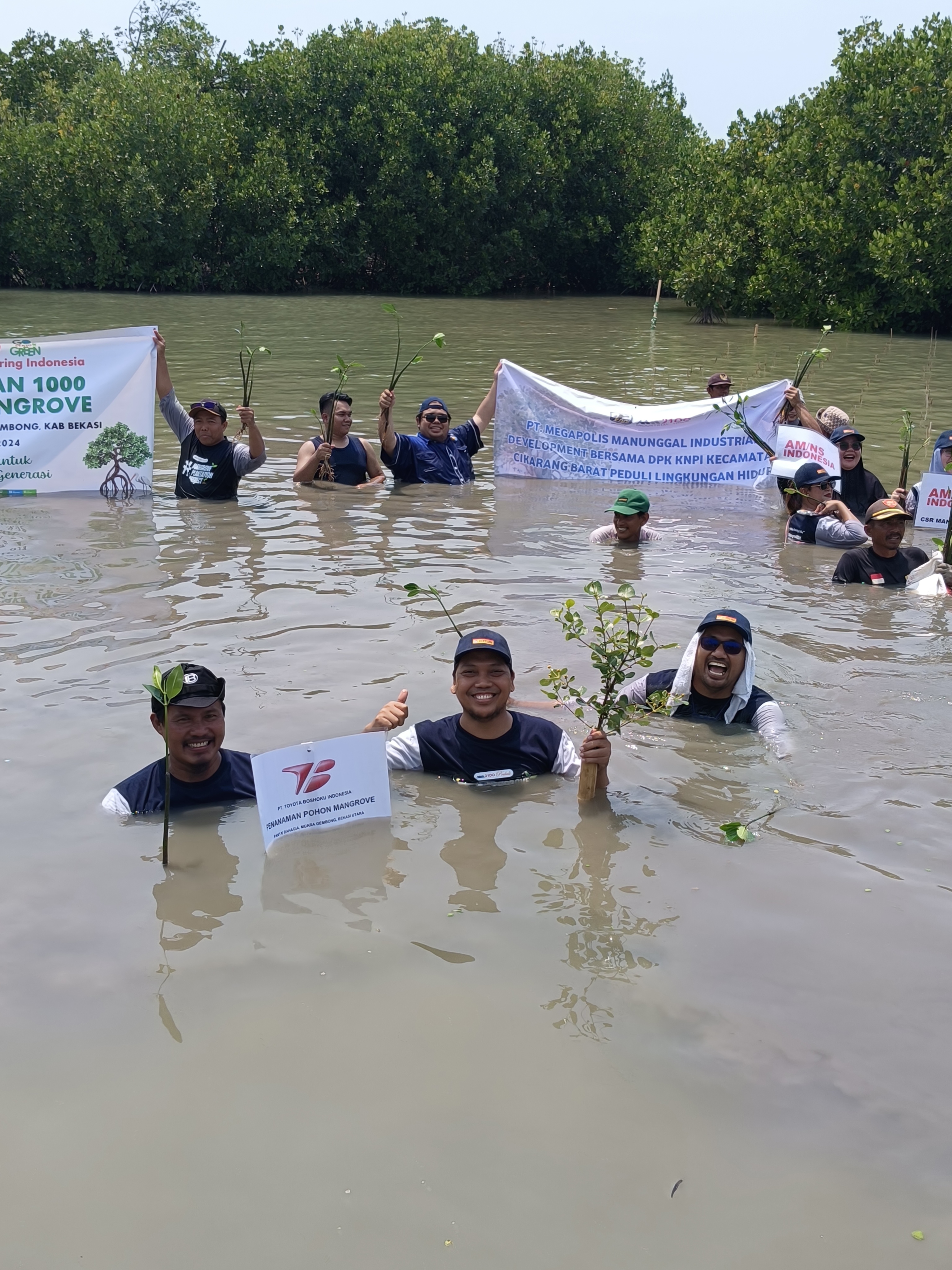 CSR Penanaman 1.000 Bibit Pohon Mangrove